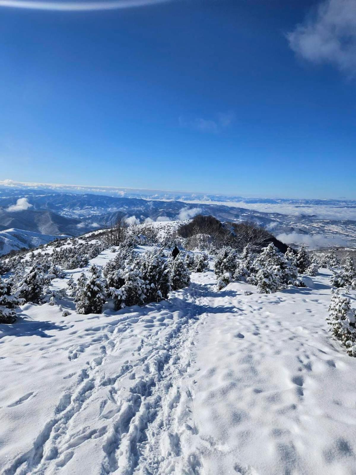 Apartmani Kraljevi Cardaci Kopaonik Extérieur photo